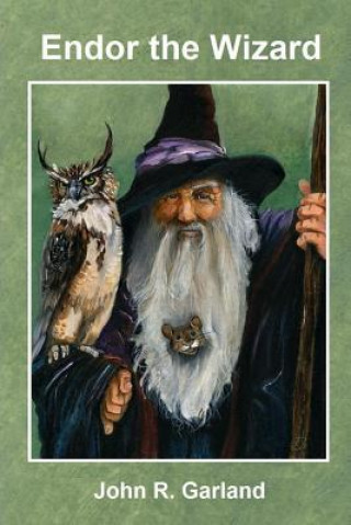 Knjiga Endor the Wizard John R Garland