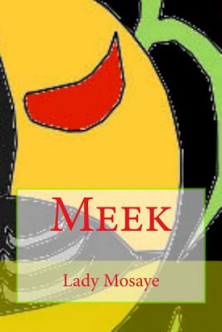 Buch Meek Lady Mosaye