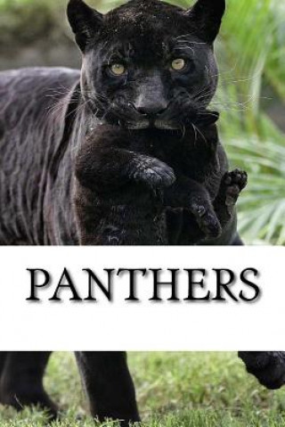 Book Panthers Panther