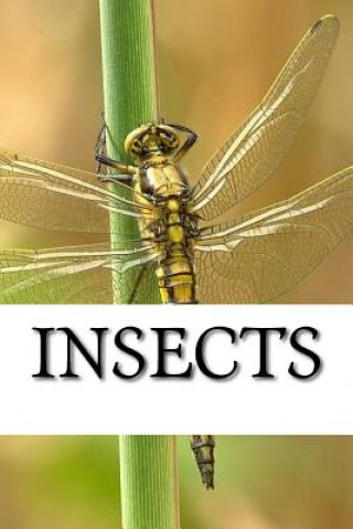 Книга Insects Insect