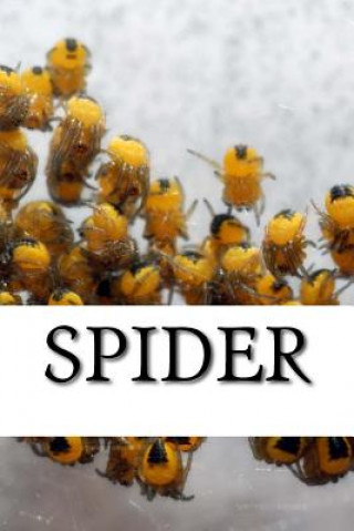 Libro Spider Spider