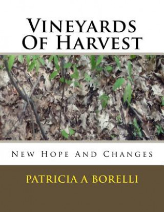 Kniha Vineyards Of Harvest: New Hope And Changes Patricia a Borelli