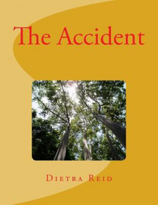 Knjiga The Accident Dietra Yvette Reid