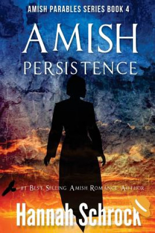 Knjiga Amish Persistence Hannah Schrock