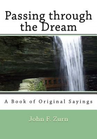 Buch Passing through the Dream: A Book of Original Sayings John F Zurn