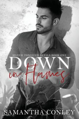 Knjiga Down in Flames Dana Hook
