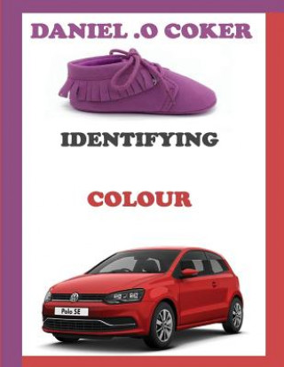 Βιβλίο Identifying Colour Dr. Seuss