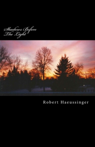 Buch Shadows Before The Light Robert W Haeussinger