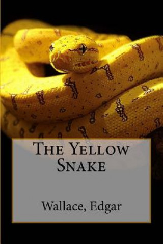 Carte The Yellow Snake Sir Angels