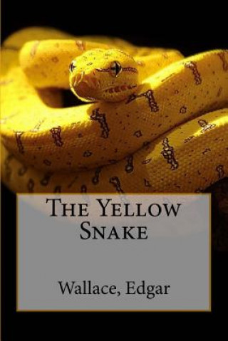 Kniha The Yellow Snake Sir Angels