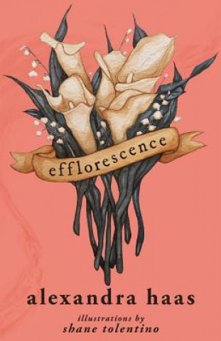 Knjiga Efflorescence: Poems Shane Tolentino