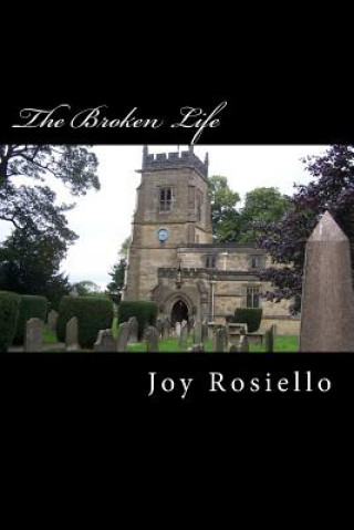 Buch The Broken Life Joy Caresa Rosiello
