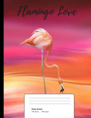 Kniha Flamingo Love Vol. 9 Twisted Pete