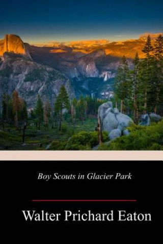 Книга Boy Scouts in Glacier Park Walter Prichard Eaton