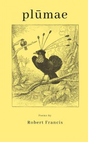 Buch Plumae Robert Francis