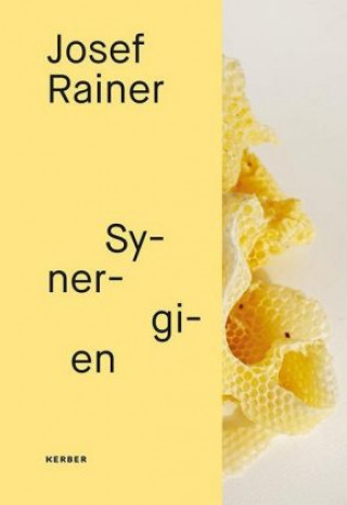 Buch Josef Rainer Josef Rainer