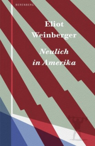 Kniha Neulich in Amerika Beatrice Faßbender