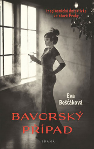 Kniha Bavorský případ Eva Bešťáková