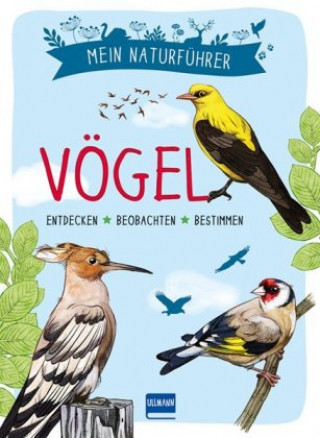 Könyv Mein Naturführer - Vögel Maud Bihan