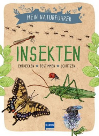 Kniha Mein Naturführer - Insekten Maud Bihan