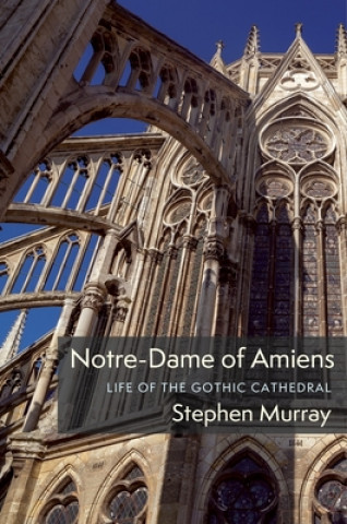 Könyv Notre-Dame of Amiens Stephen (Lisa and Bernard Selz Professor of Medieval Art History Emeritus) Murray