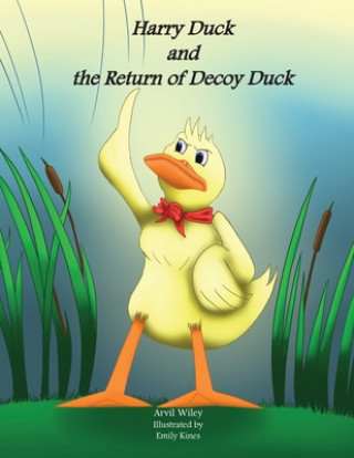 Książka Harry Duck and the Return of Decoy Duck ARVIL WILEY