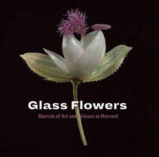 Carte Glass Flowers Roglan