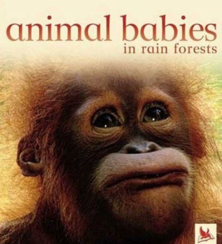 Carte Animal Babies in Forests Editors of Kingfisher