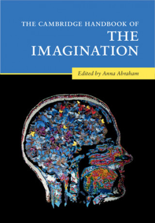 Könyv Cambridge Handbook of the Imagination 