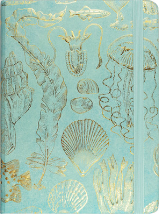 Book Sealife Sketches Journal 