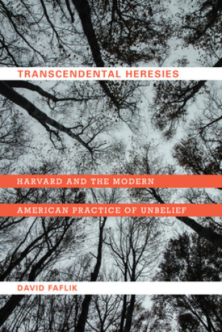 Könyv Transcendental Heresies 