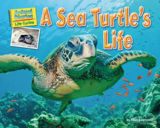 Книга A Sea Turtle's Life 