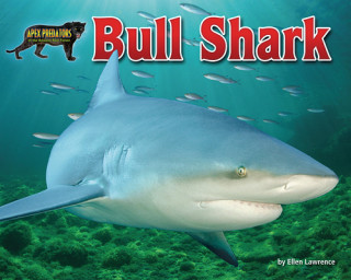 Kniha Bull Shark 