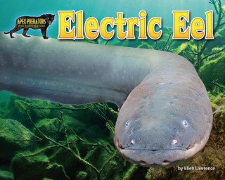 Book Electric Eel Ellen Lawrence
