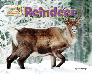 Knjiga Reindeer Dee Phillips