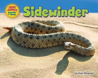 Book Sidewinder 