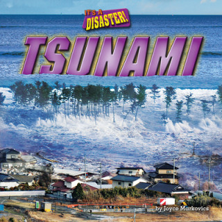Kniha Tsunami 