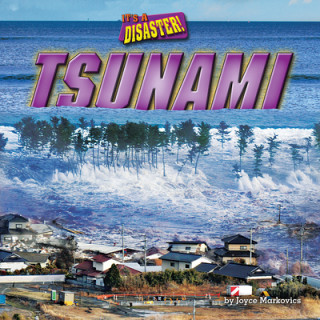 Książka Tsunami 