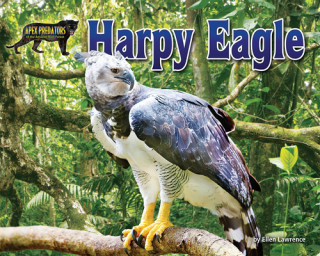 Książka Harpy Eagle 