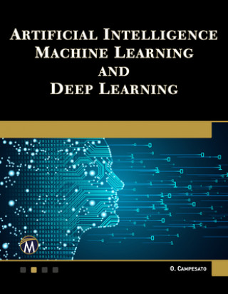 Könyv Artificial Intelligence, Machine Learning, and Deep Learning 