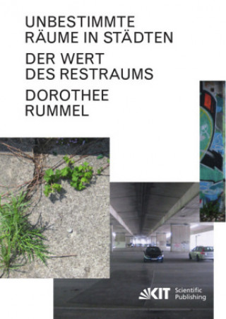 Kniha Unbestimmte Räume in Städten: Der Wert des Restraums Dorothee Rummel