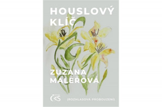 Knjiga Houslový klíč Zuzana Maléřová