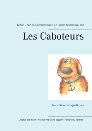 Könyv Les Caboteurs Lucile Sommereisen