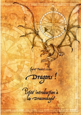Carte Dragons ! 