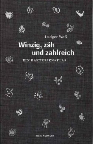Kniha Winzig, zäh und zahlreich Judith Schalansky