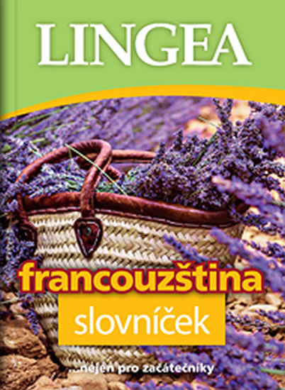 Book Francouzština slovníček 