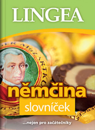 Könyv Němčina slovníček 