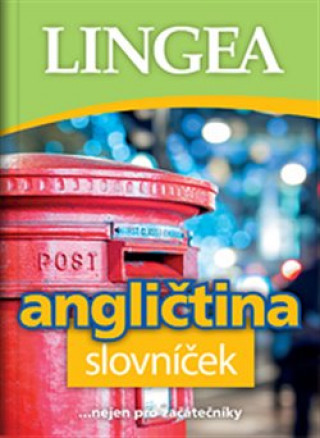 Könyv Angličtina slovníček 