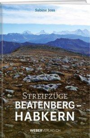Kniha Streifzüge Beatenberg - Habkern 