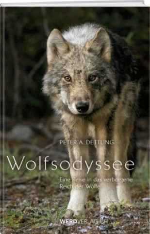 Книга Wolfsodyssee 